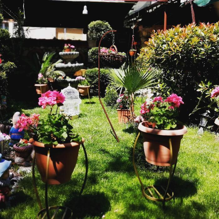 Hotel Gala-Garden Bitola Exterior foto